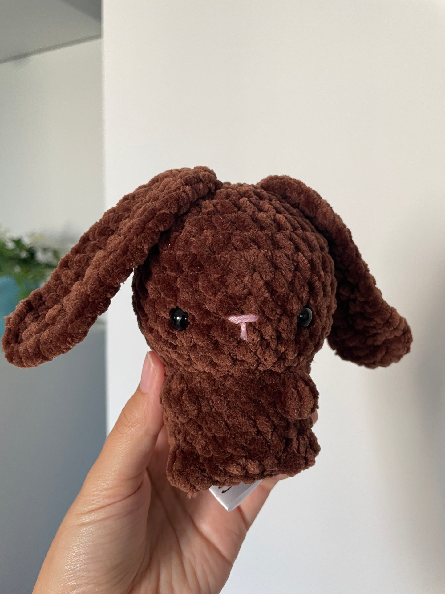 Lotti der Hase