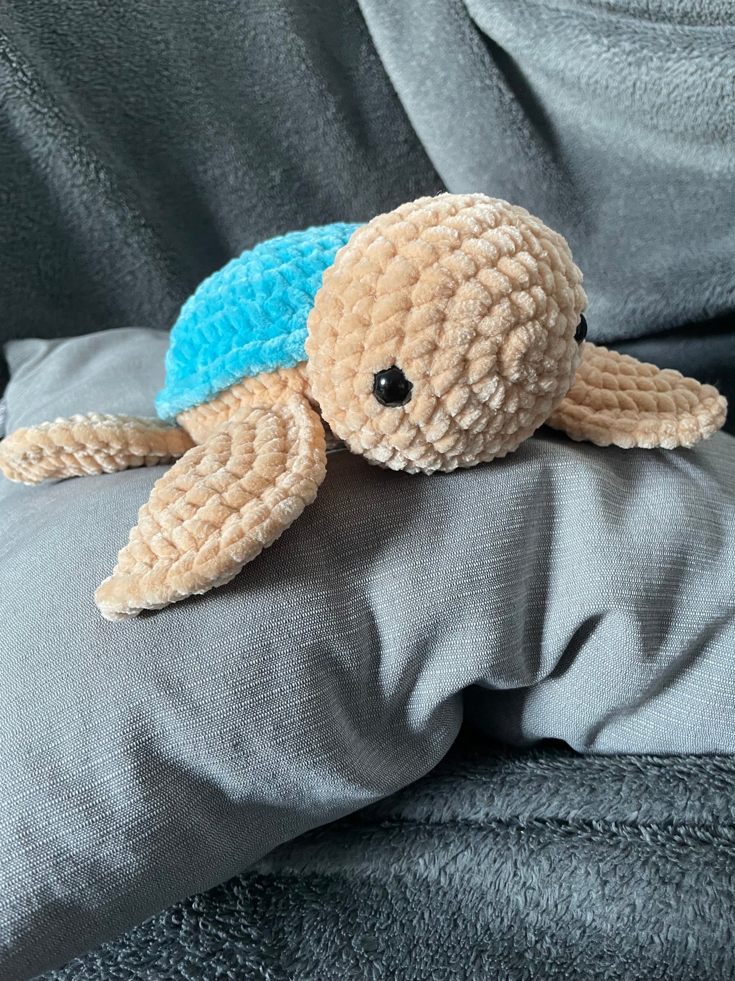 Schildi die Schildkröte