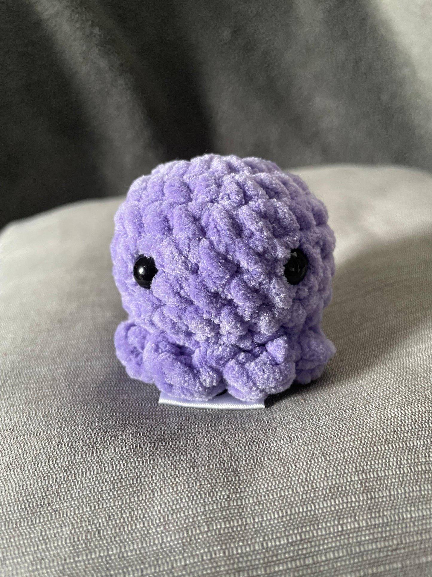 Octavia der Oktopus
