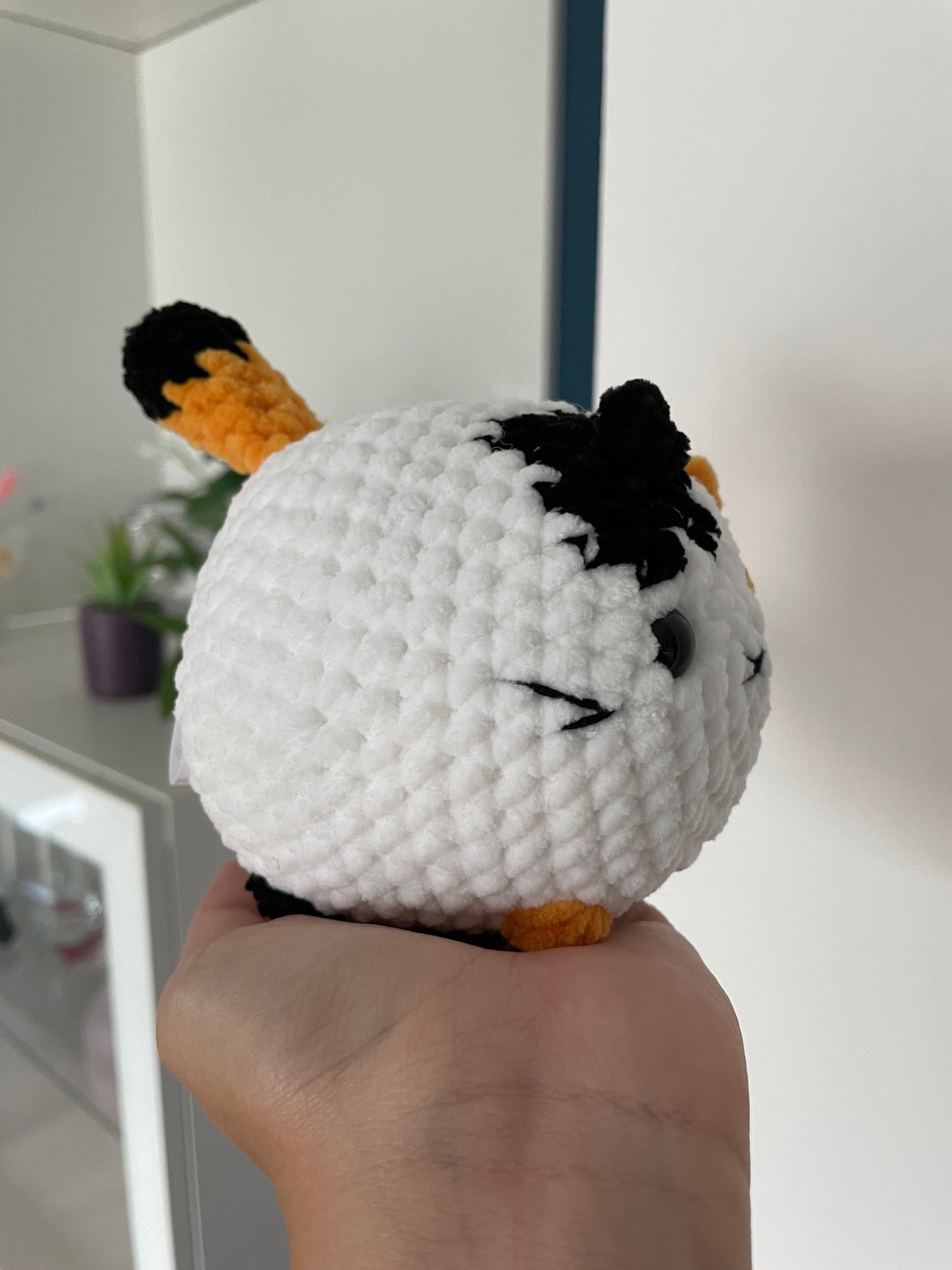 Cleo die Katze