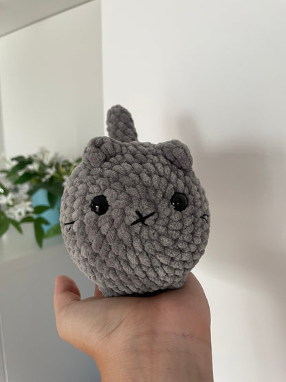 Cleo die Katze